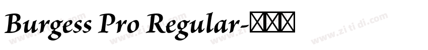 Burgess Pro Regular字体转换